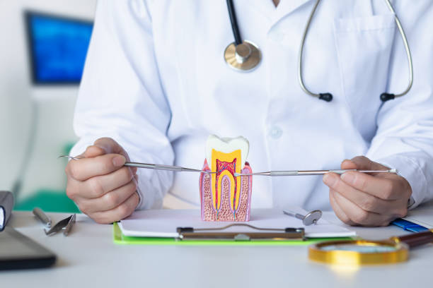 Best Walk-In Emergency Dental Services in Waverly, IA